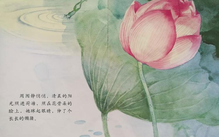 小青蛙与荷花（学会等待）