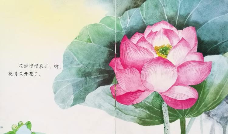 小青蛙与荷花（学会等待）