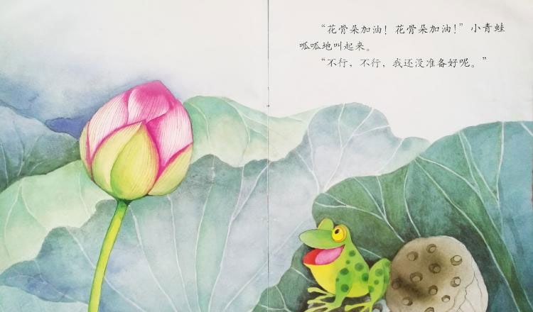 小青蛙与荷花（学会等待）
