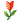 丑小鸭