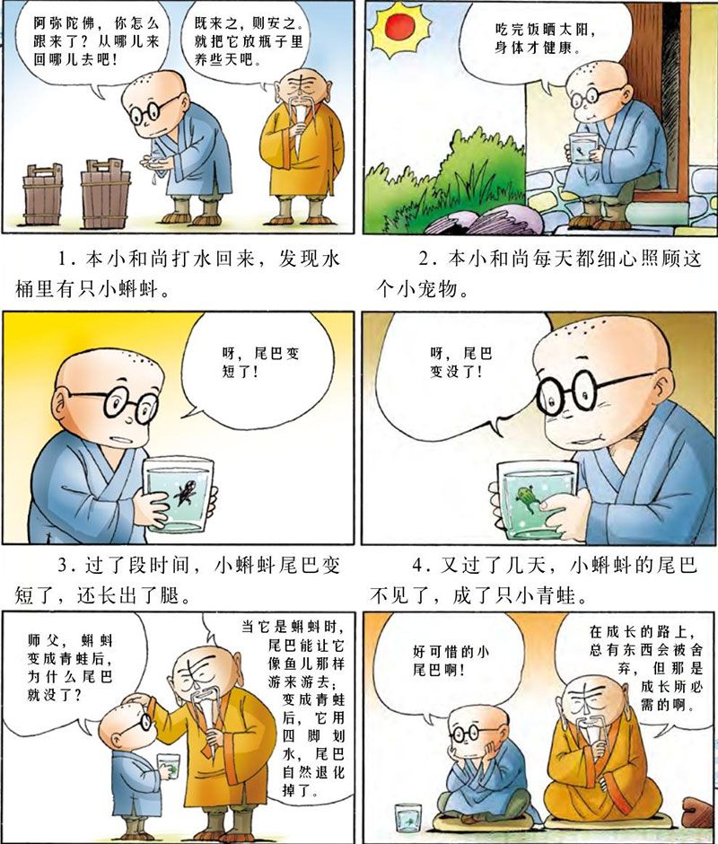 消失的尾巴