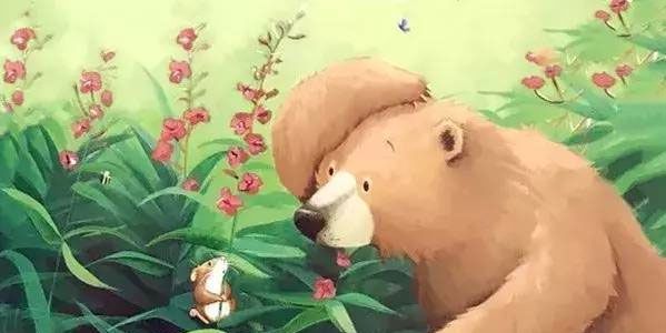 贝尔熊的新朋友