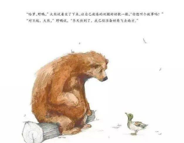 大熊有个故事要说