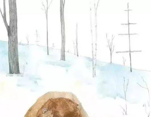 大熊有个故事要说