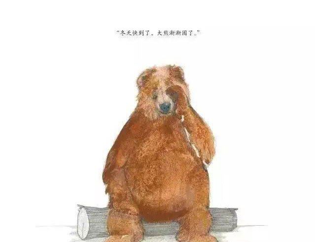 大熊有个故事要说