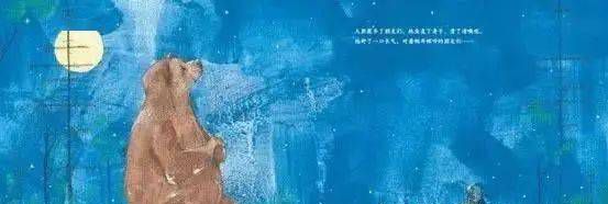 大熊有个故事要说
