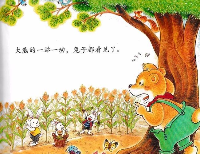 兔子借地