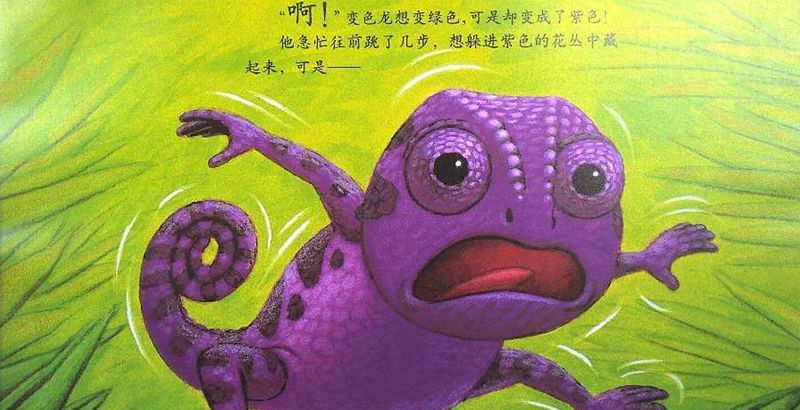 乱七八糟的变色龙