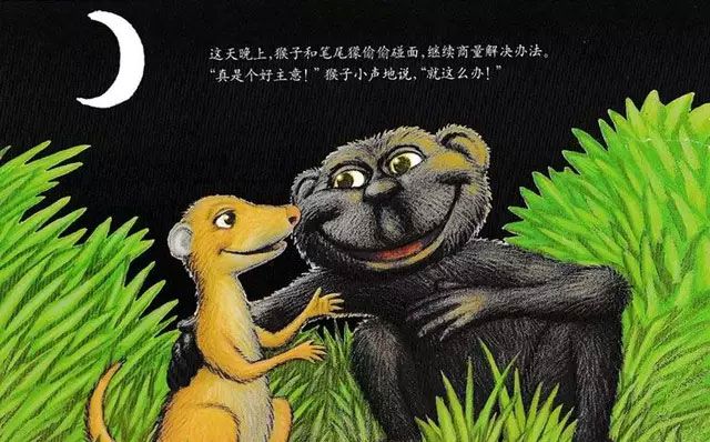 乱七八糟的变色龙