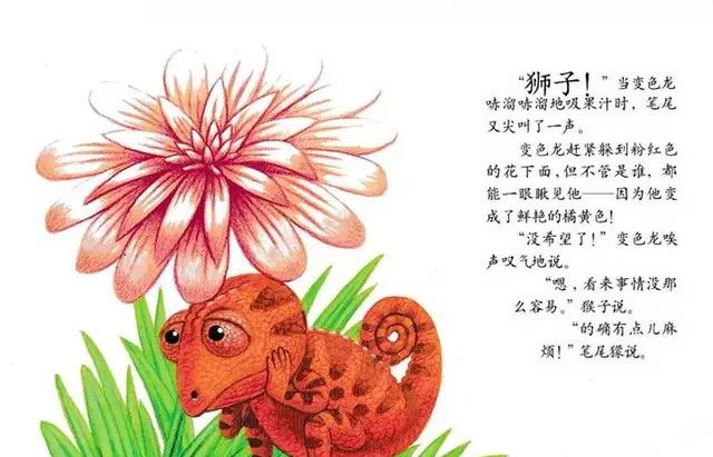 乱七八糟的变色龙