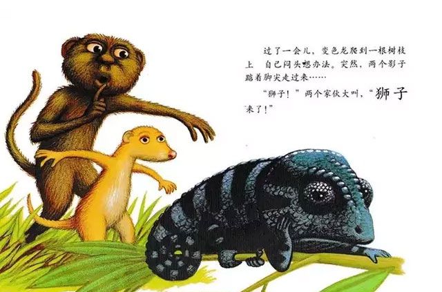 乱七八糟的变色龙