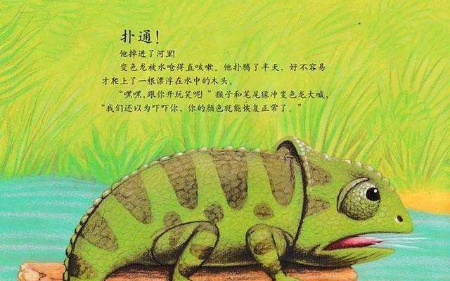 乱七八糟的变色龙