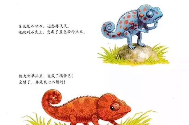 乱七八糟的变色龙
