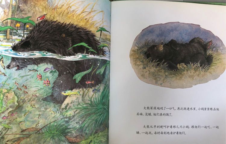 大熊捡的蛋