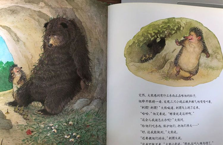 大熊捡的蛋
