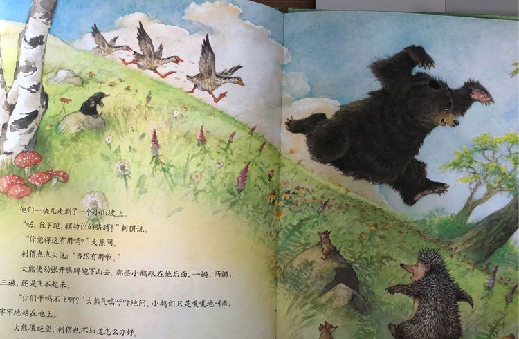 大熊捡的蛋