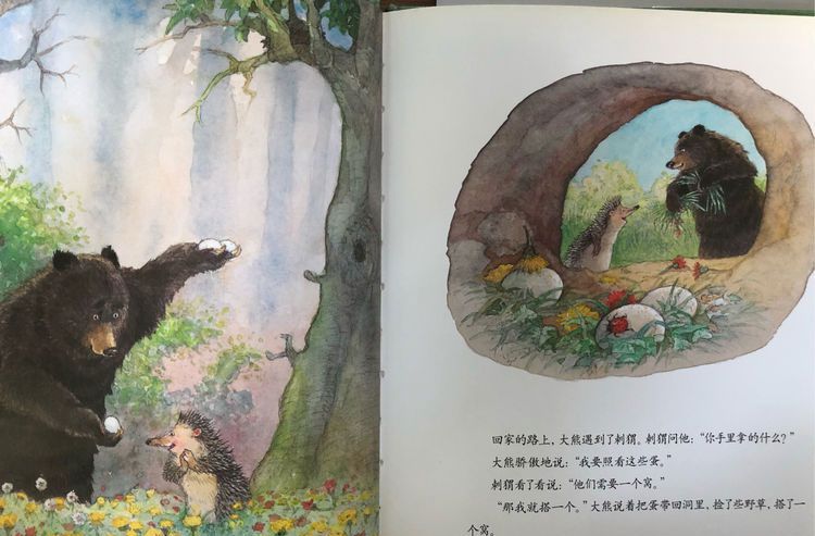 大熊捡的蛋