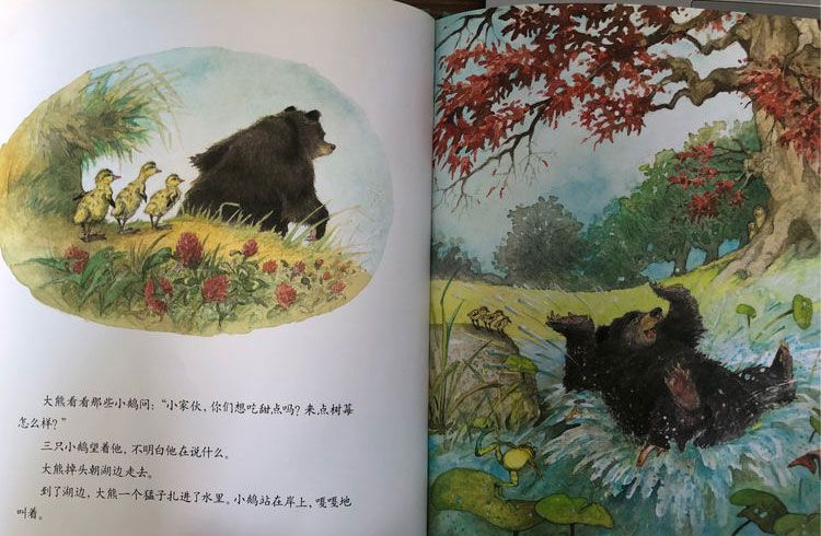 大熊捡的蛋