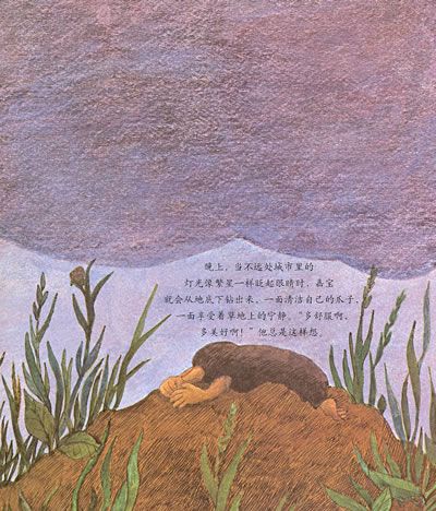 小鼹鼠嘉宝