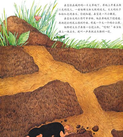 小鼹鼠嘉宝