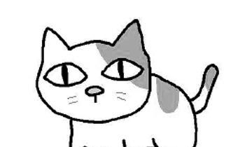 老婆婆的猫