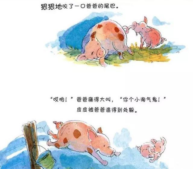 皮皮猪和爸爸