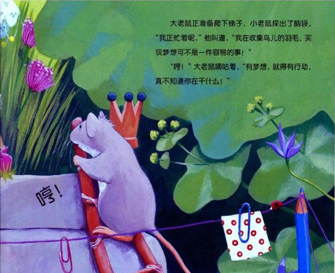 小老鼠忙碌的一天