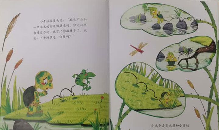 青蛙的乌龟朋友