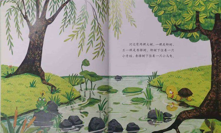 青蛙的乌龟朋友