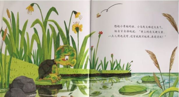 青蛙的乌龟朋友