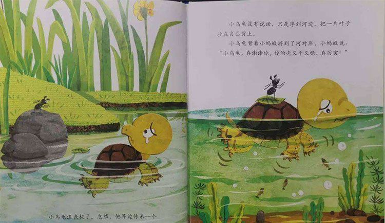 青蛙的乌龟朋友