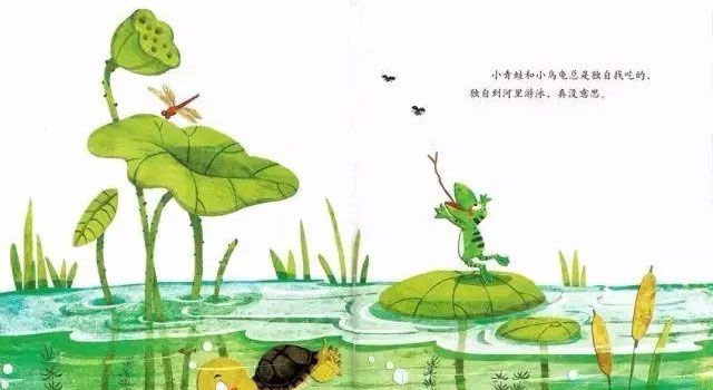 青蛙的乌龟朋友
