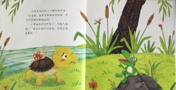 青蛙的乌龟朋友