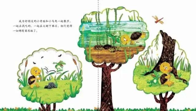 青蛙的乌龟朋友