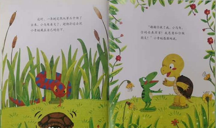 青蛙的乌龟朋友