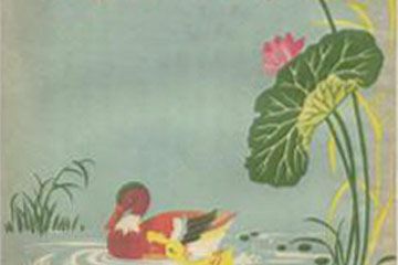 小鸭子学游水