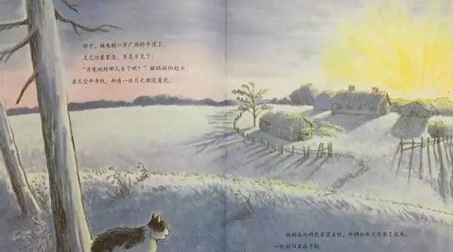 去月亮上取牛奶的猫