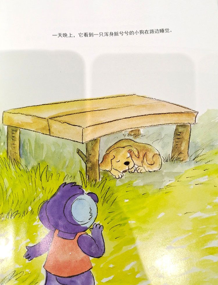 想学魔术的小考拉