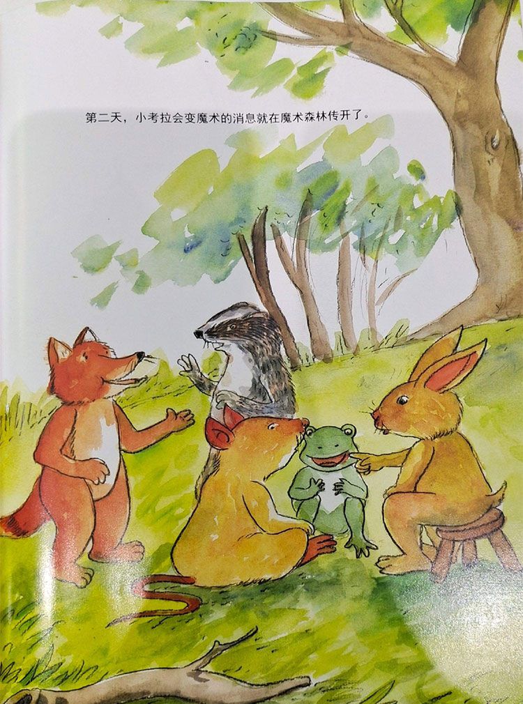 想学魔术的小考拉