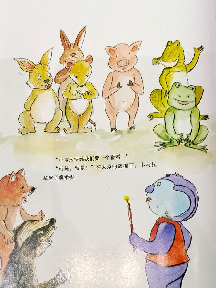想学魔术的小考拉