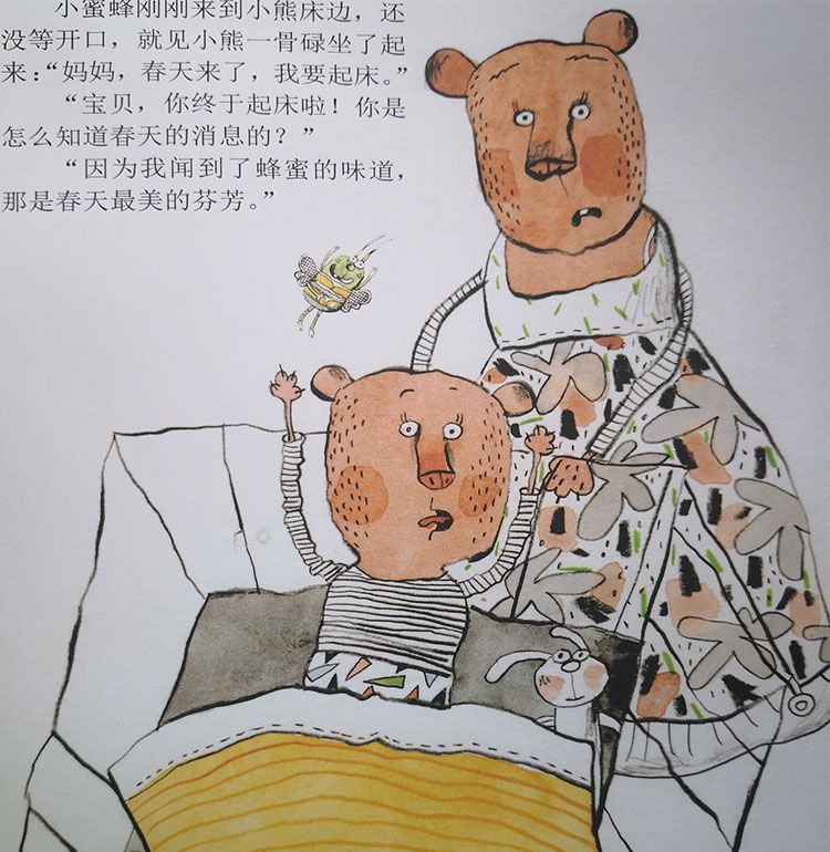 小熊小熊快起床
