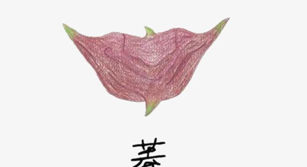 大外套