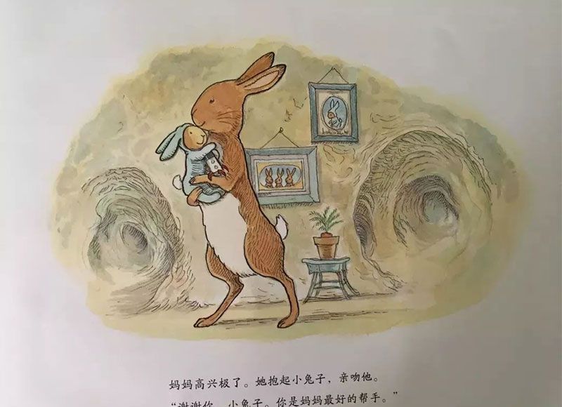 小兔子的新宝宝