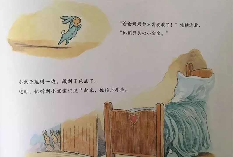 小兔子的新宝宝