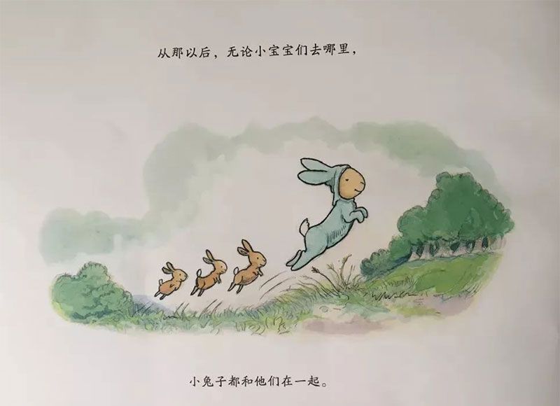 小兔子的新宝宝
