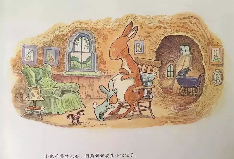 小兔子的新宝宝