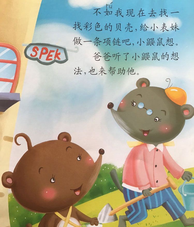 彩色的贝壳项链