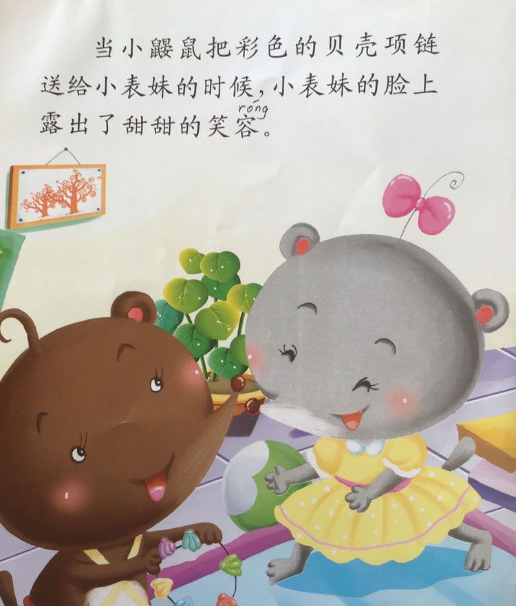 彩色的贝壳项链