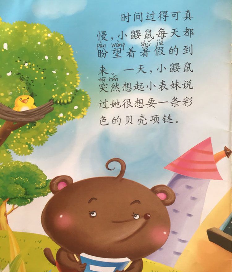 彩色的贝壳项链