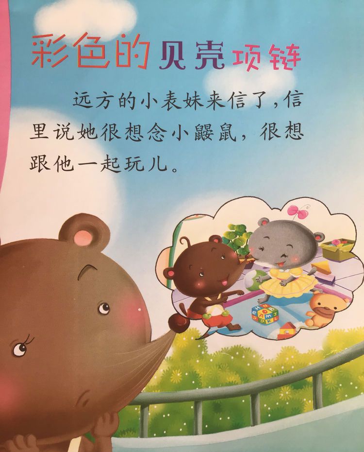 彩色的贝壳项链